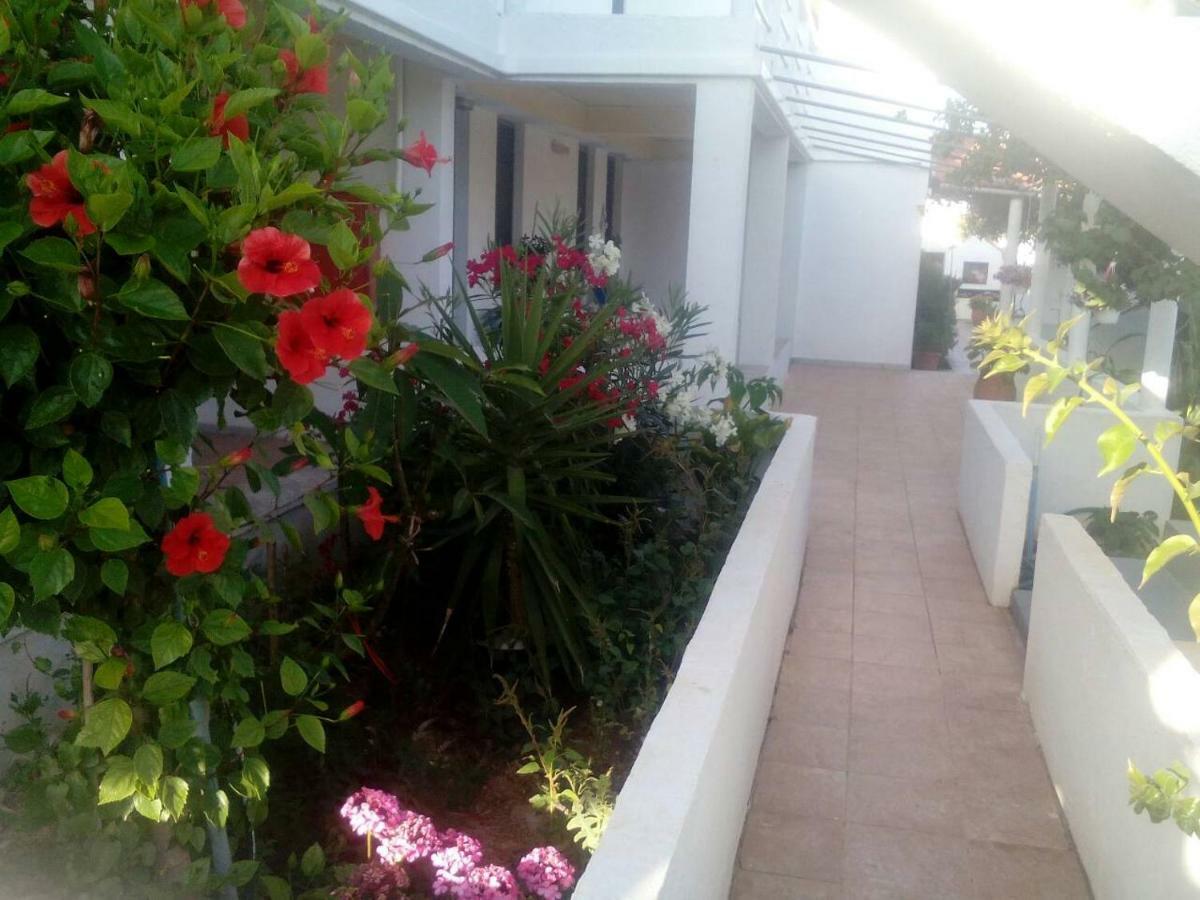 Villas Irene 5 Family Apartments Kokkini Hani Exterior photo
