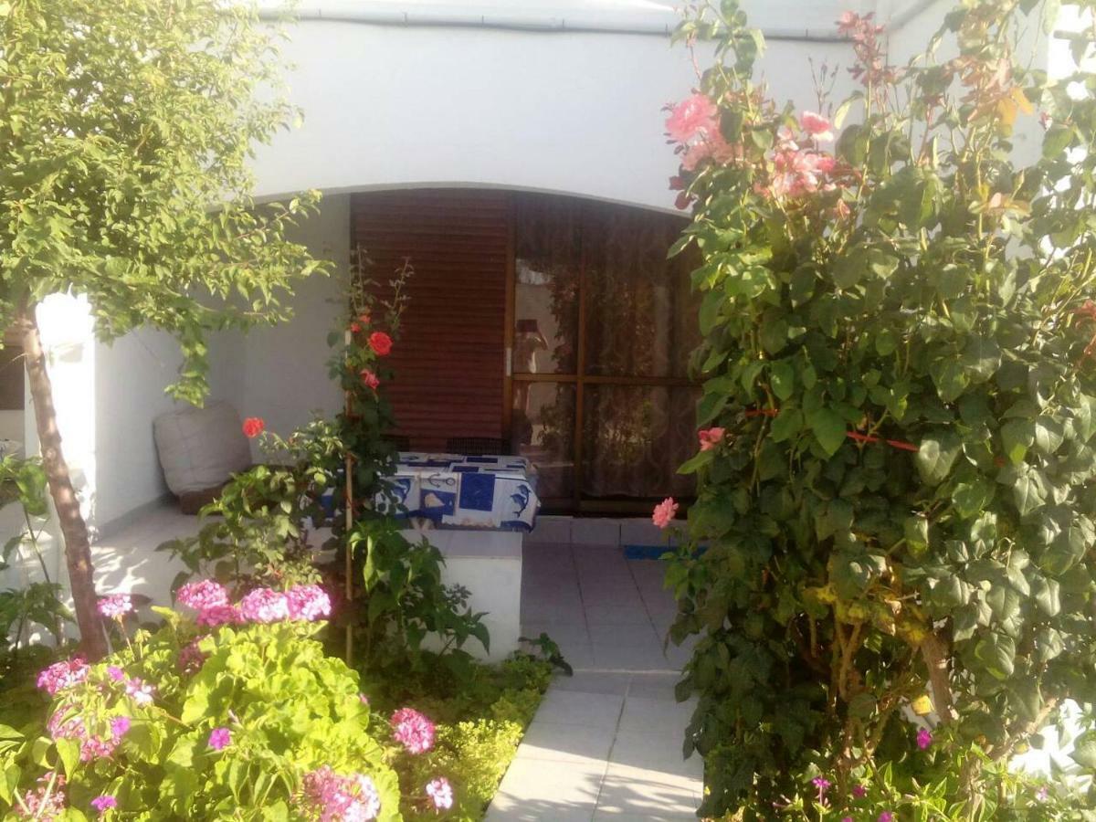 Villas Irene 5 Family Apartments Kokkini Hani Exterior photo